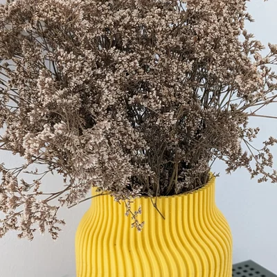 Mẫu bình hoa trang trí in 3D Vase Mode hiện đại, tinh tế