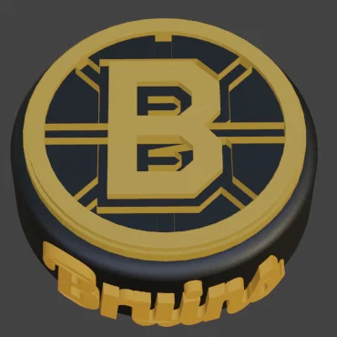 Puck khúc côn cầu Boston Bruins