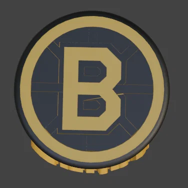 Puck khúc côn cầu Boston Bruins