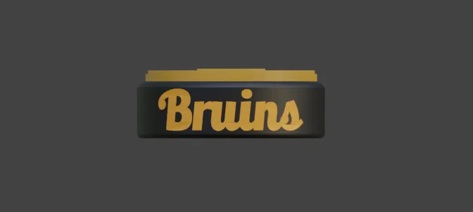 Puck khúc côn cầu Boston Bruins - Image 3