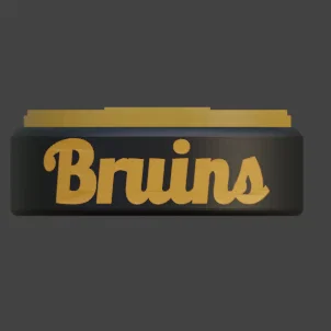 Puck khúc côn cầu Boston Bruins