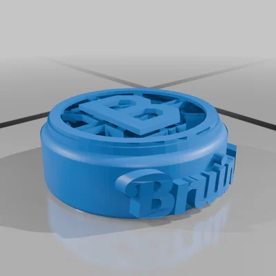 Puck khúc côn cầu Boston Bruins