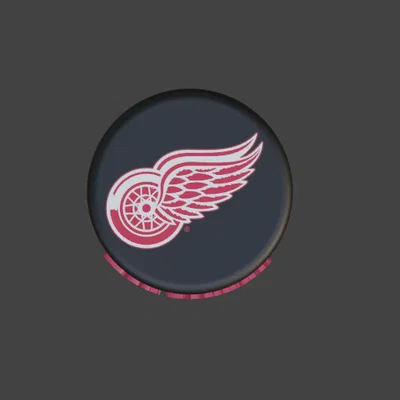 Puck Khúc Côn Cầu Detroit Red Wings