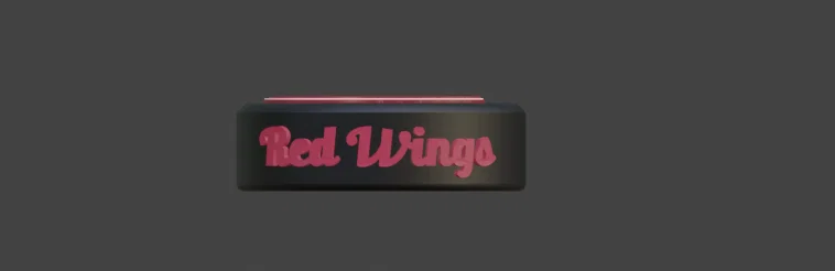 Puck Khúc Côn Cầu Detroit Red Wings - Image 3