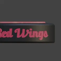 Puck Khúc Côn Cầu Detroit Red Wings