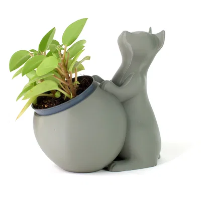 Bộ chậu trồng cây hình mèo 3D in dễ dàng không cần support
