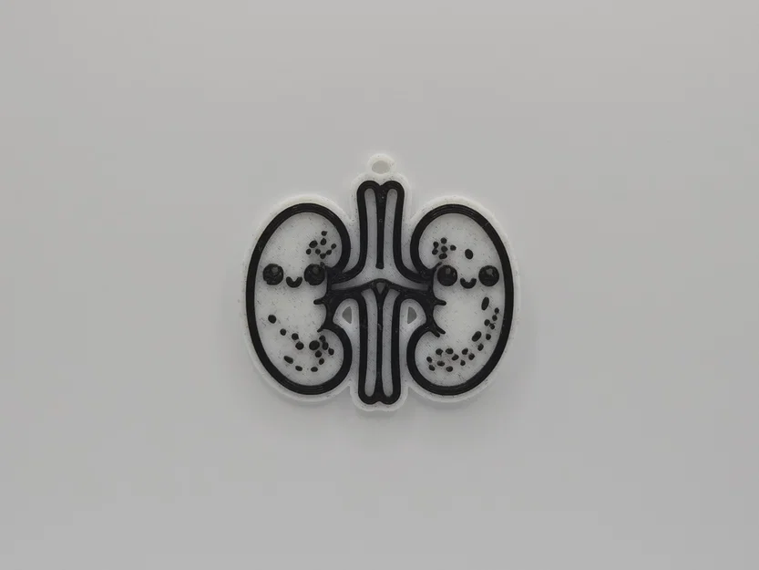 Móc khóa hình quả thận siêu đáng yêu (Cute Anatomical Kidneys Keychain) - Image 1