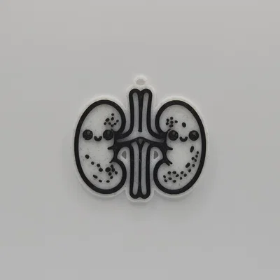 Móc khóa hình quả thận siêu đáng yêu (Cute Anatomical Kidneys Keychain)