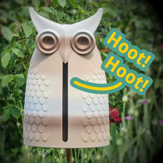 Hoot Hoot! Cú Mèo Kêu Hoot Khi Có Gió - Image 1