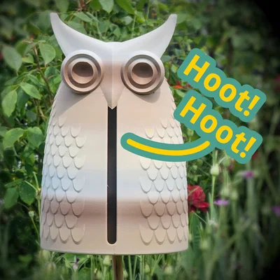 Hoot Hoot! Cú Mèo Kêu Hoot Khi Có Gió