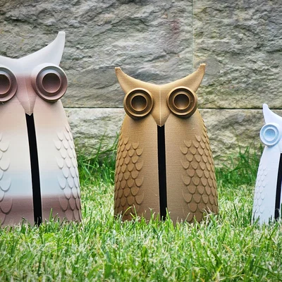 Hoot Hoot! Cú Mèo Kêu Hoot Khi Có Gió