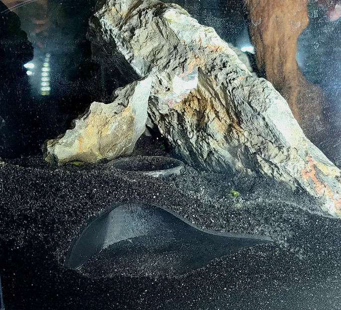 Hang trú ẩn 3D cho tép và cá nhỏ - Phụ kiện Aquarium tinh tế - Image 3
