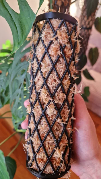 Mosspole – Trụ rêu module cho cây leo - Image 1