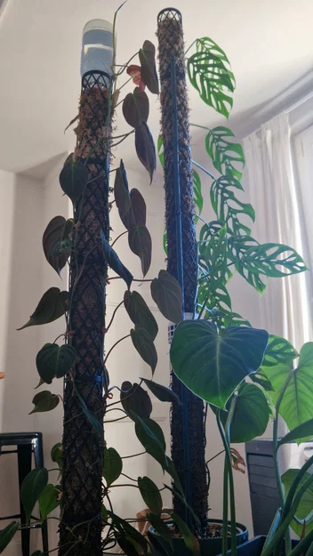 Mosspole – Trụ rêu module cho cây leo - Image 3