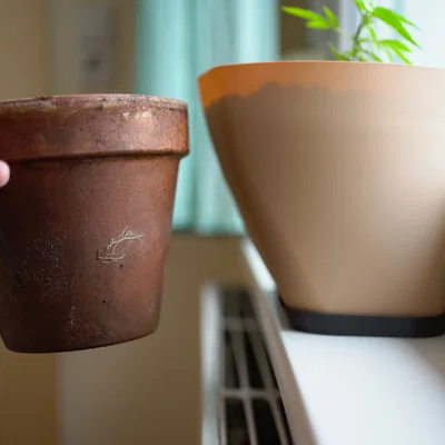 Chậu Cây Plant Pot 4 Window Sill (cho bệ cửa sổ)