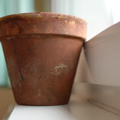Chậu Cây Plant Pot 4 Window Sill (cho bệ cửa sổ)