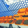Hộp lưu trữ cho Honeycomb Storage Wall – nhiều kích thước - Thumbnail 2