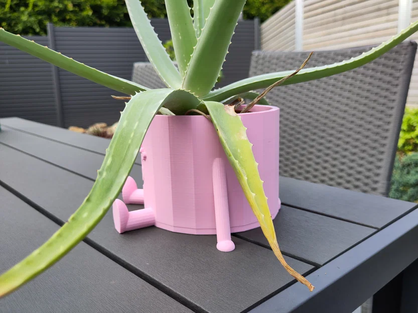 Cô Bé Chậu Cây Dễ Thương (Chậu Hoa) - Image 2