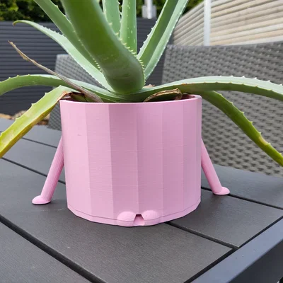 Cô Bé Chậu Cây Dễ Thương (Chậu Hoa)