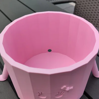 Cô Bé Chậu Cây Dễ Thương (Chậu Hoa)