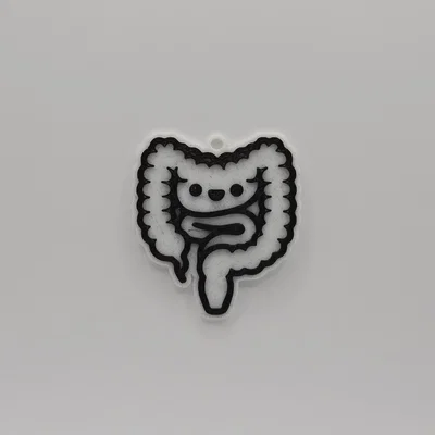 Móc khóa hình ruột giải phẫu dễ thương - Mô hình in 3D độc đáo