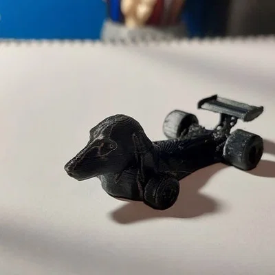Dachshund F1