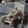 AlanThomas_2263161