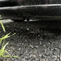 Còi siêu âm đuổi thú rừng (deer whistle) - píšťalka na zvěř - Thumbnail 3