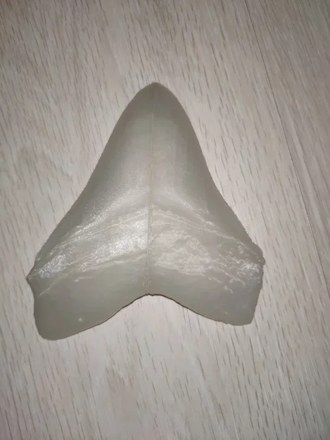 Răng Megalodon (NHMW) bản easy print - Image 1