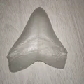 Răng Megalodon (NHMW) bản easy print - Thumbnail 1