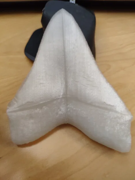 Răng Megalodon (NHMW) bản easy print - Image 3