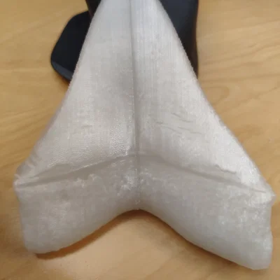 Răng Megalodon (NHMW) bản easy print