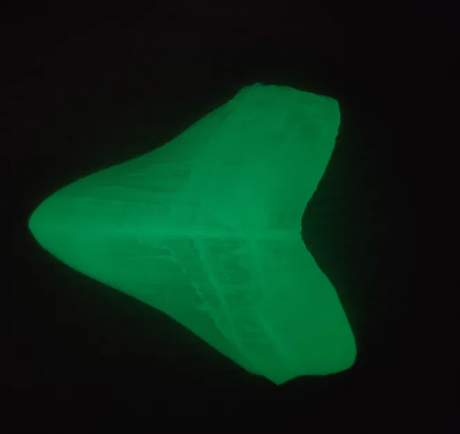 Răng Megalodon (NHMW) bản easy print - Image 4