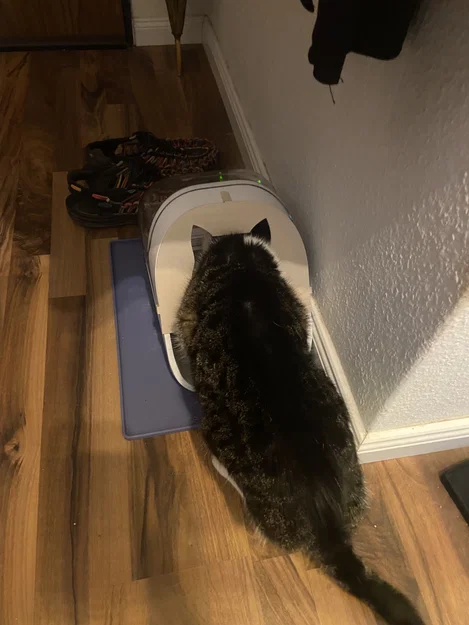 Khung chắn bát ăn Surefeed cho mèo - Thiết kế cải tiến chắc chắn - Image 2