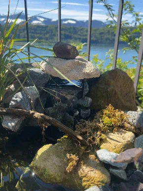 Thác Nước Mini Cho Hồ Nhỏ (Tiny Waterfall for Pond) - Image 2