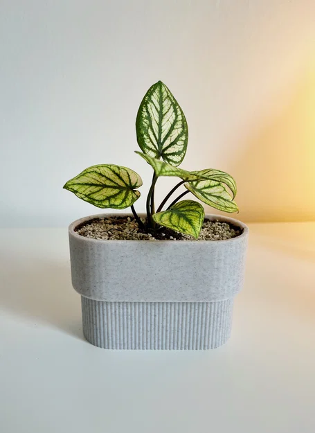 PLANTER POT MINI – Chậu cây mini tối giản - Image 3