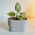 PLANTER POT MINI – Chậu cây mini tối giản - Thumbnail 3