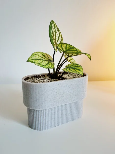 PLANTER POT MINI – Chậu cây mini tối giản - Image 4