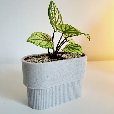 PLANTER POT MINI – Chậu cây mini tối giản