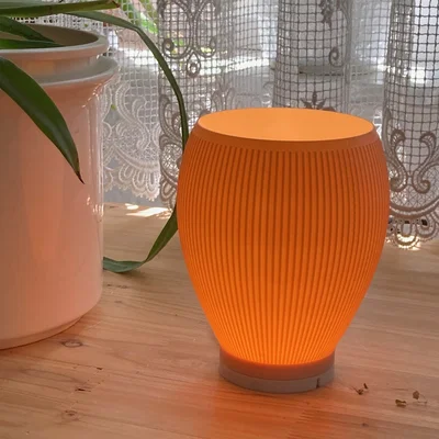 Lamp #52 - Chụp đèn gân cho Bambu Lamp Kit 001