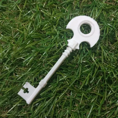 Chìa Khóa Xương (Skeleton Key)