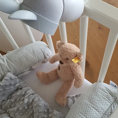 Ngàm (Mount) Arenti AiNanny cho Babybay