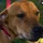 ShadyLane_3813985