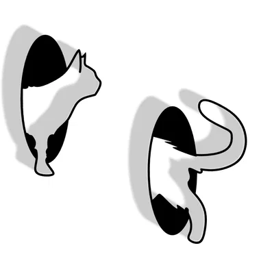 Mô hình trang trí tường chú mèo Portal Cat độc đáo - Tải file 3D