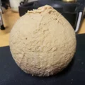 Vỏ dừa (Coconut shell) - Thumbnail 1