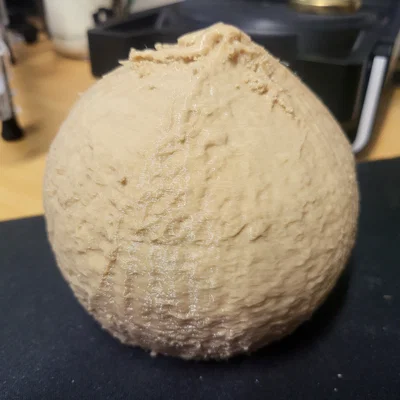 Vỏ dừa (Coconut shell)
