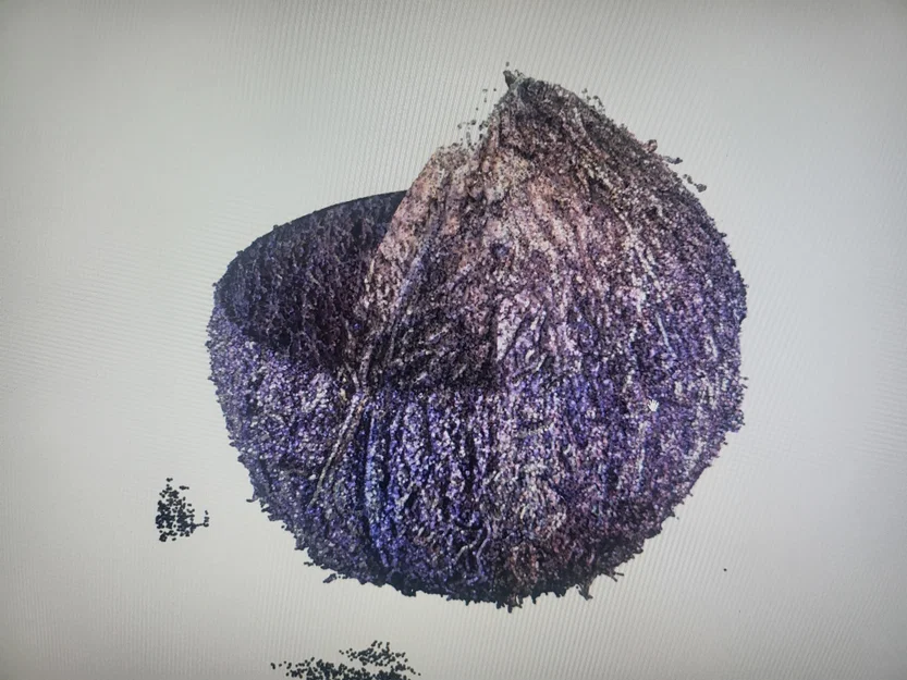 Vỏ dừa (Coconut shell) - Image 2