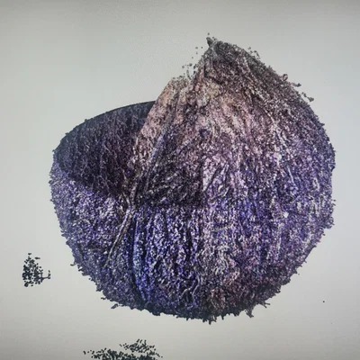 Vỏ dừa (Coconut shell)