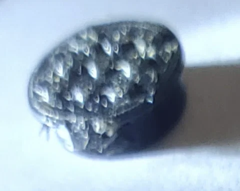 Nắp Trackpoint Lenovo Thinkpad 3.0mm (Trackpoint Cap) - Image 2