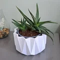 Chậu Cây Đa Giác Trang Trí Để Bàn (Decorative Plant Pot) - Thumbnail 1